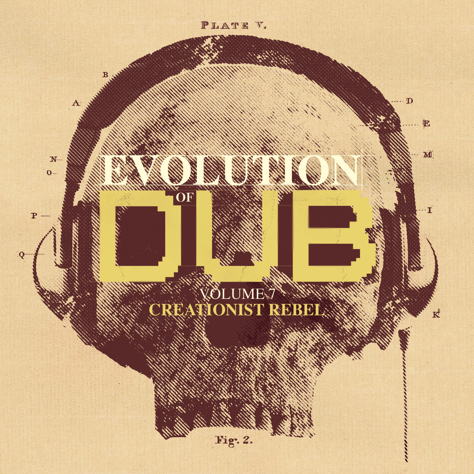 Evolution of dub (8 volumes)
