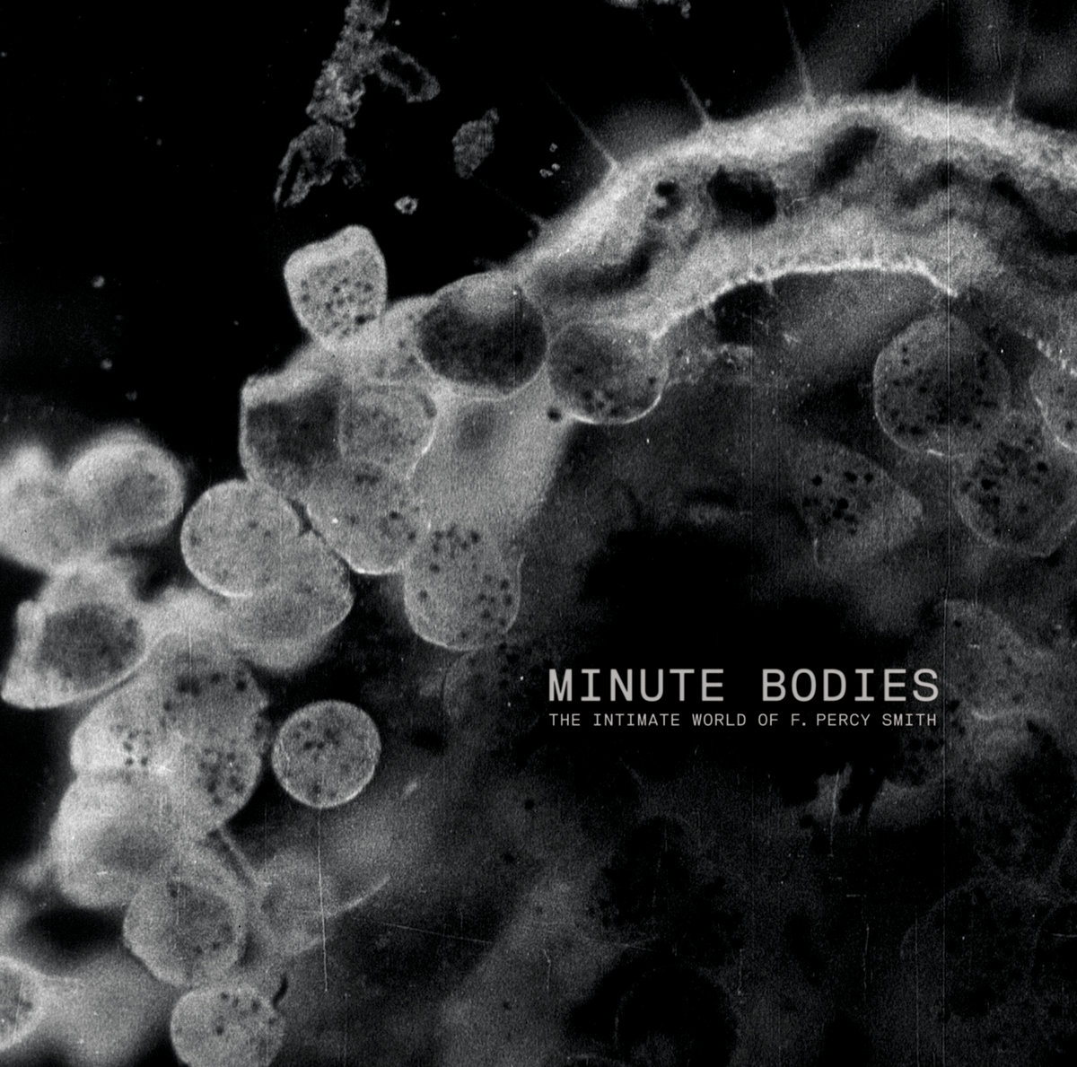 Minute bodies – The intimate world of F. Percy Smith / Stuart A. Staples & Tindersticks