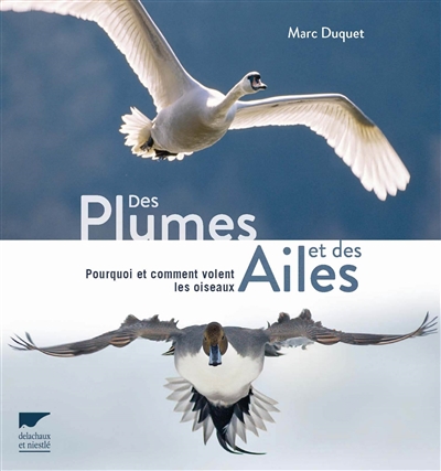 Des plumes et des ailes / Marc Duquet