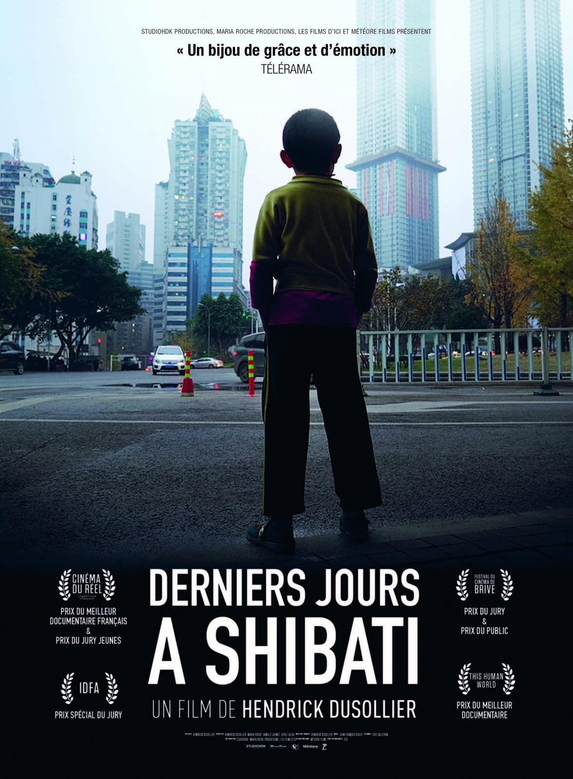 Derniers jours à Shibati / Hendrick Dusollier