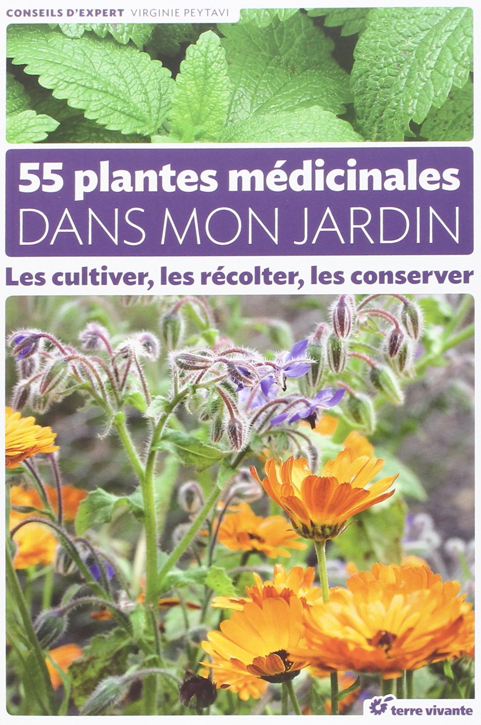 55 plantes médicinales dans mon jardin / Virginie Peytavi
