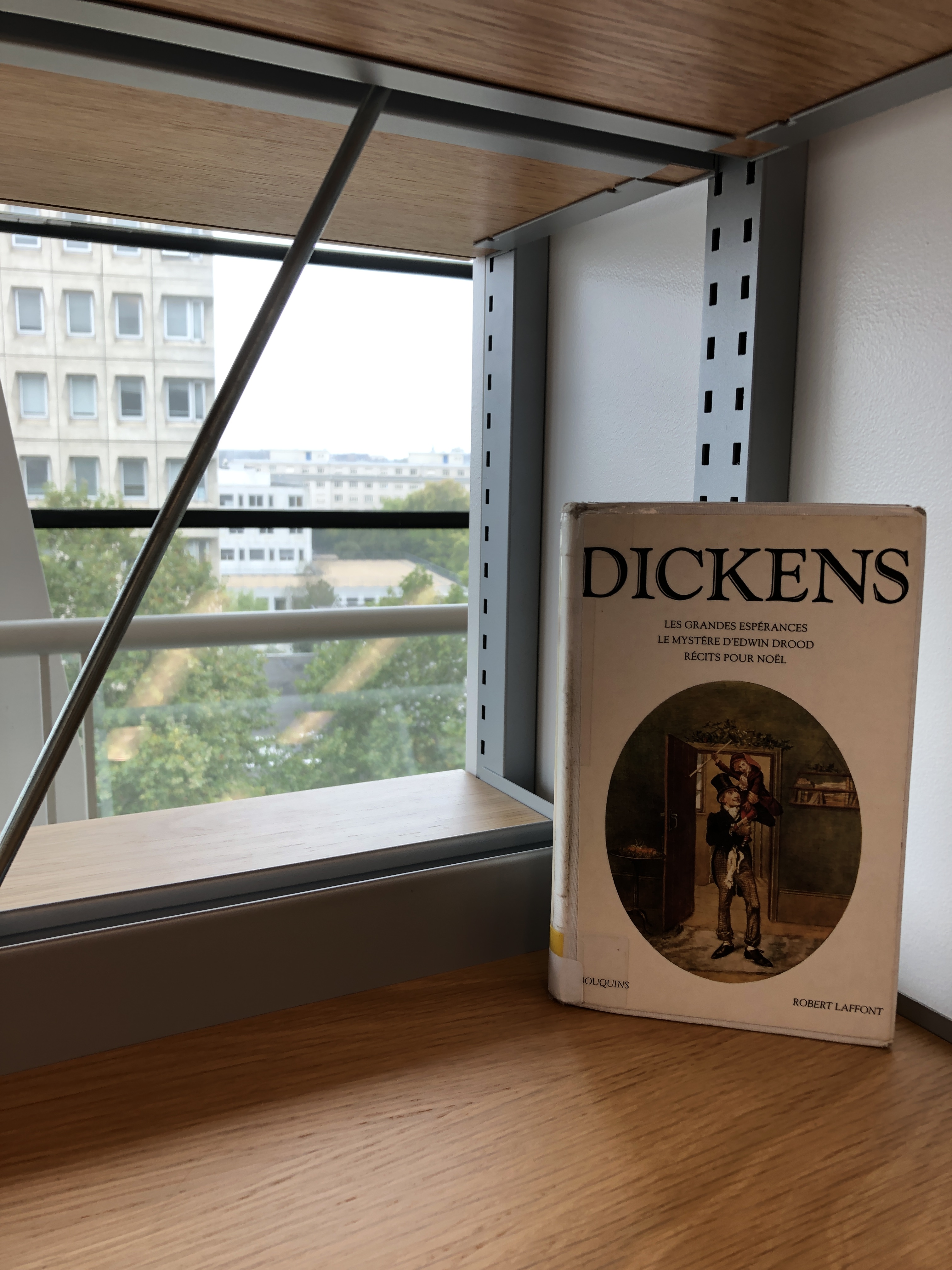 S’il n’en restait qu’un : Les grandes espérances