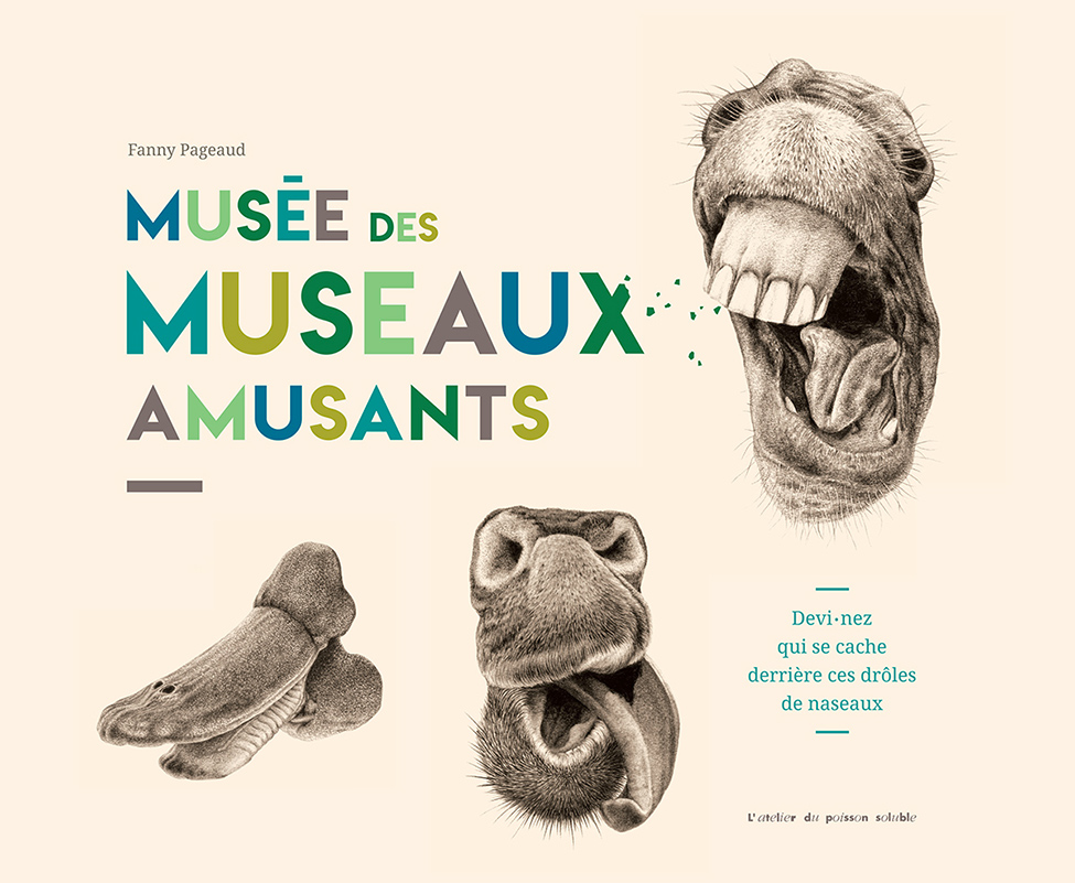 Musée des animaux amusants / Fanny Pageaud