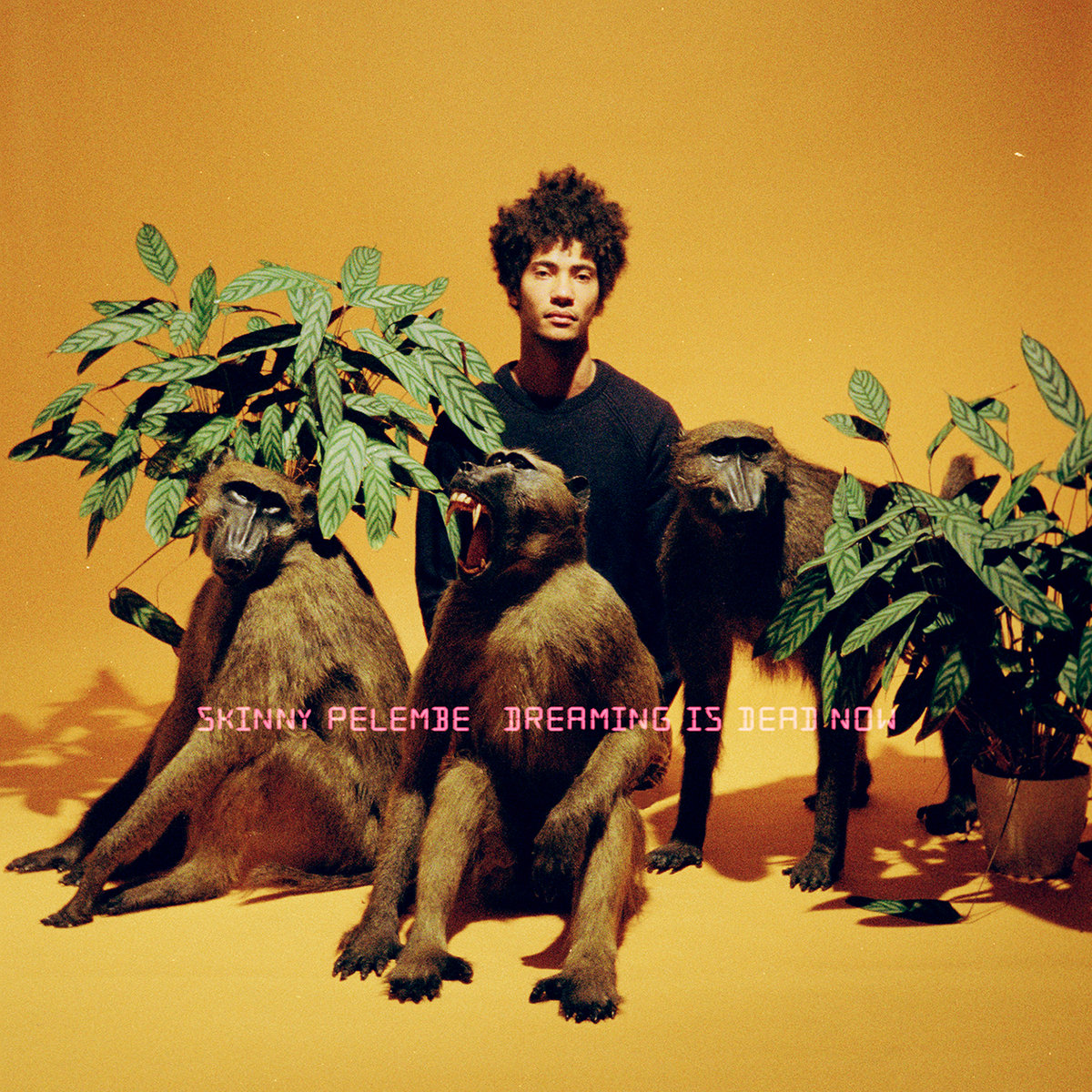 Dreaming is dead now / Skinny Pelembe