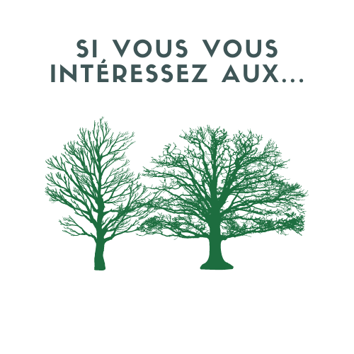 Si vous vous intéressez aux arbres…