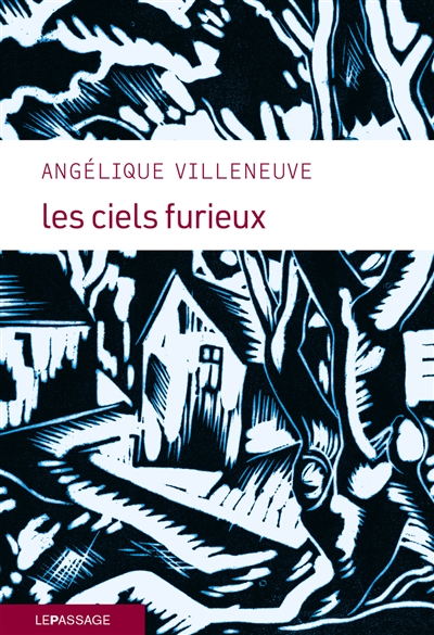 Les ciels furieux / Angélique Villeneuve