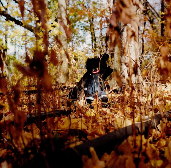 Golliwog / billy woods